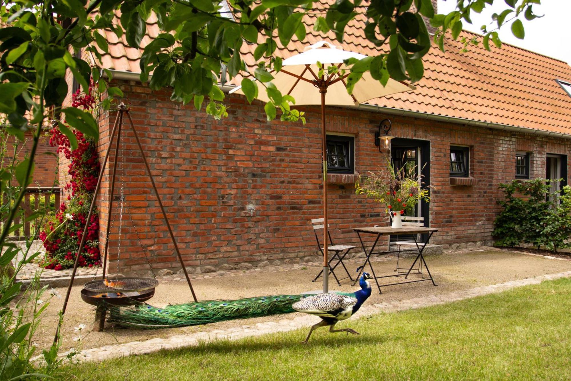 Willa Idyllisches Landhaus, Garten & Kamin, Fuer Paare Kloster Tempzin Zewnętrze zdjęcie